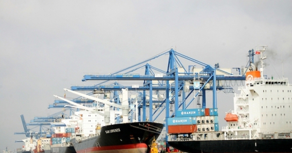 Cần “sếu đầu đàn” dẫn dắt ngành logistics